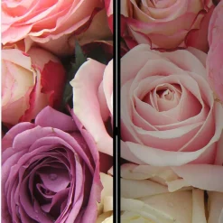 Best Paravent Umkleide Intiatos Raumteiler|Paravents