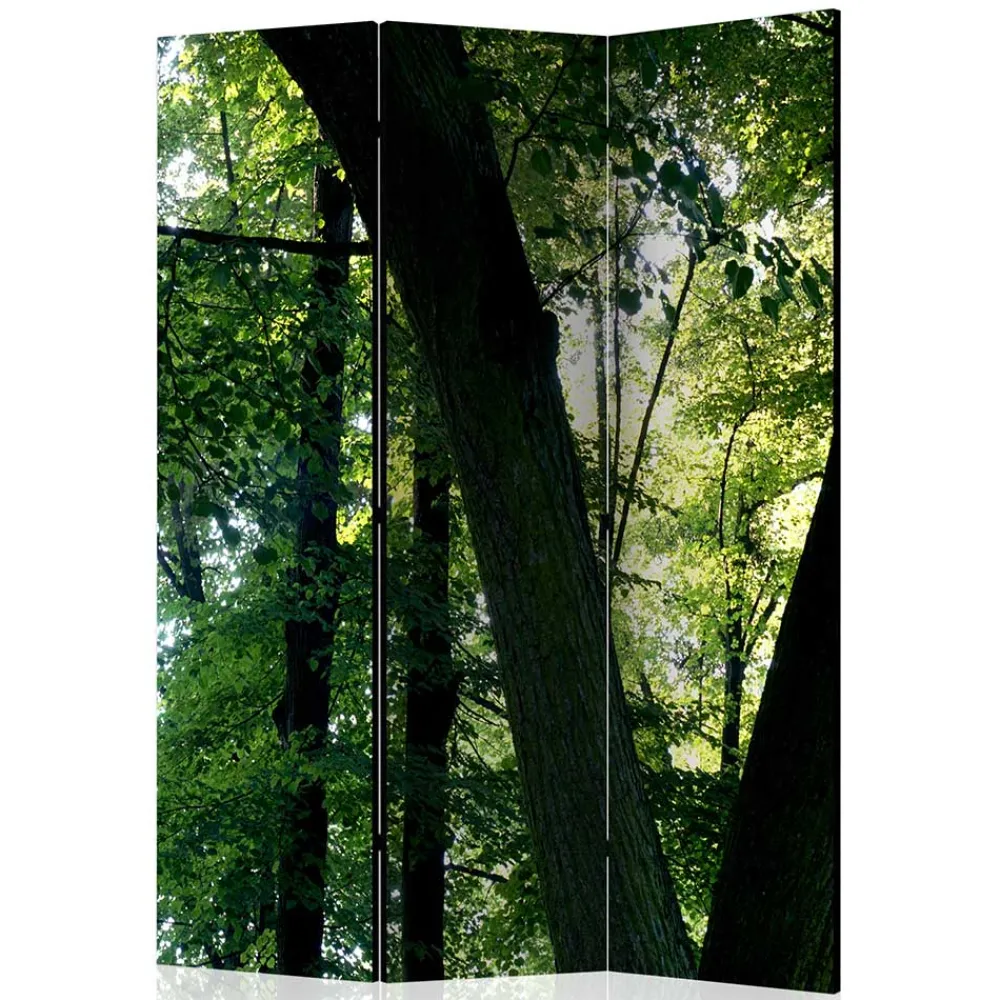 Paravent Wald Samsia*Pharao24 Clearance