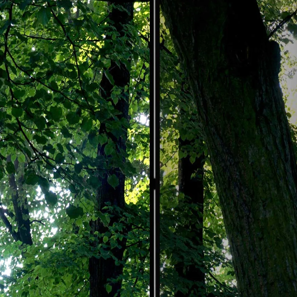 Paravent Wald Samsia*Pharao24 Clearance