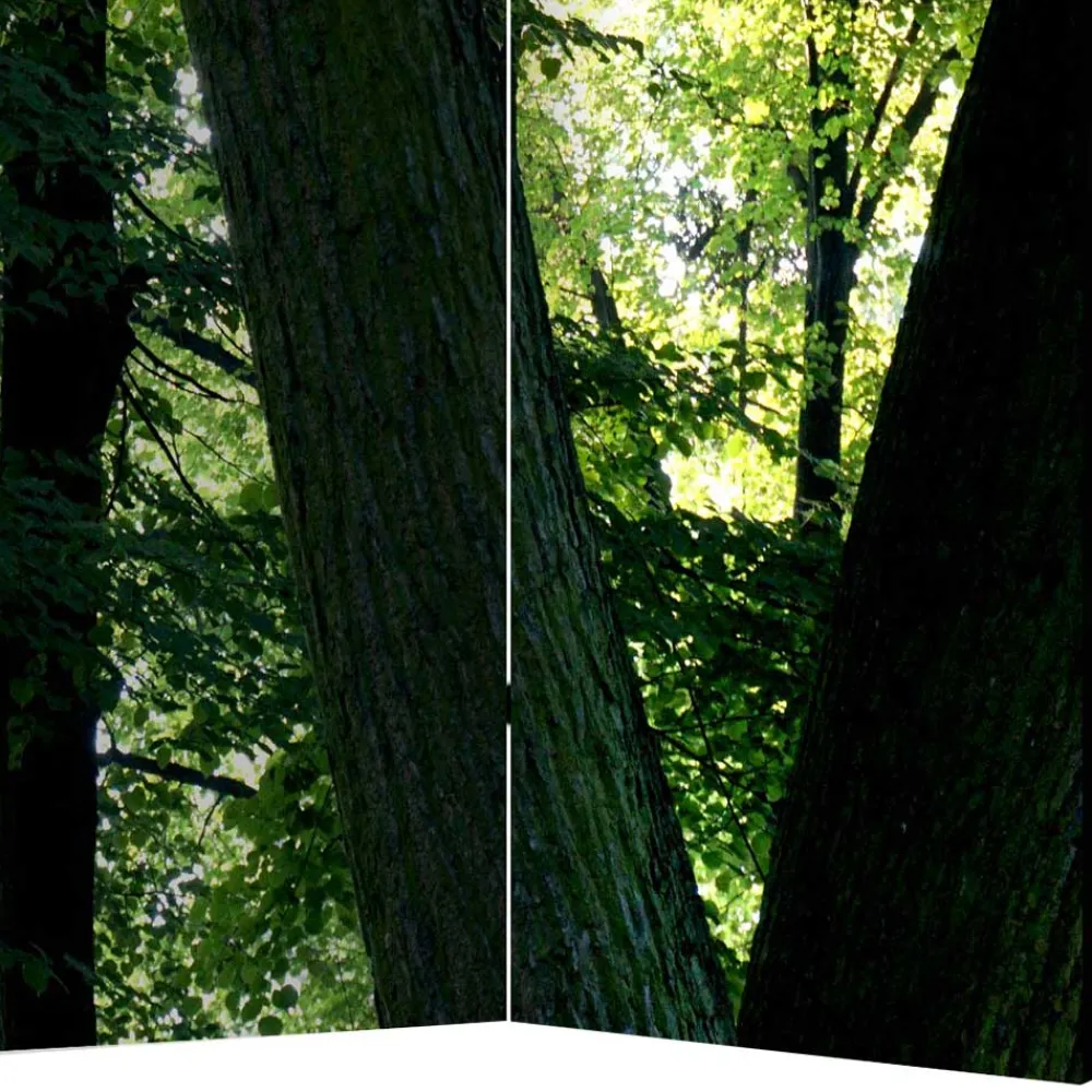 Paravent Wald Samsia*Pharao24 Clearance