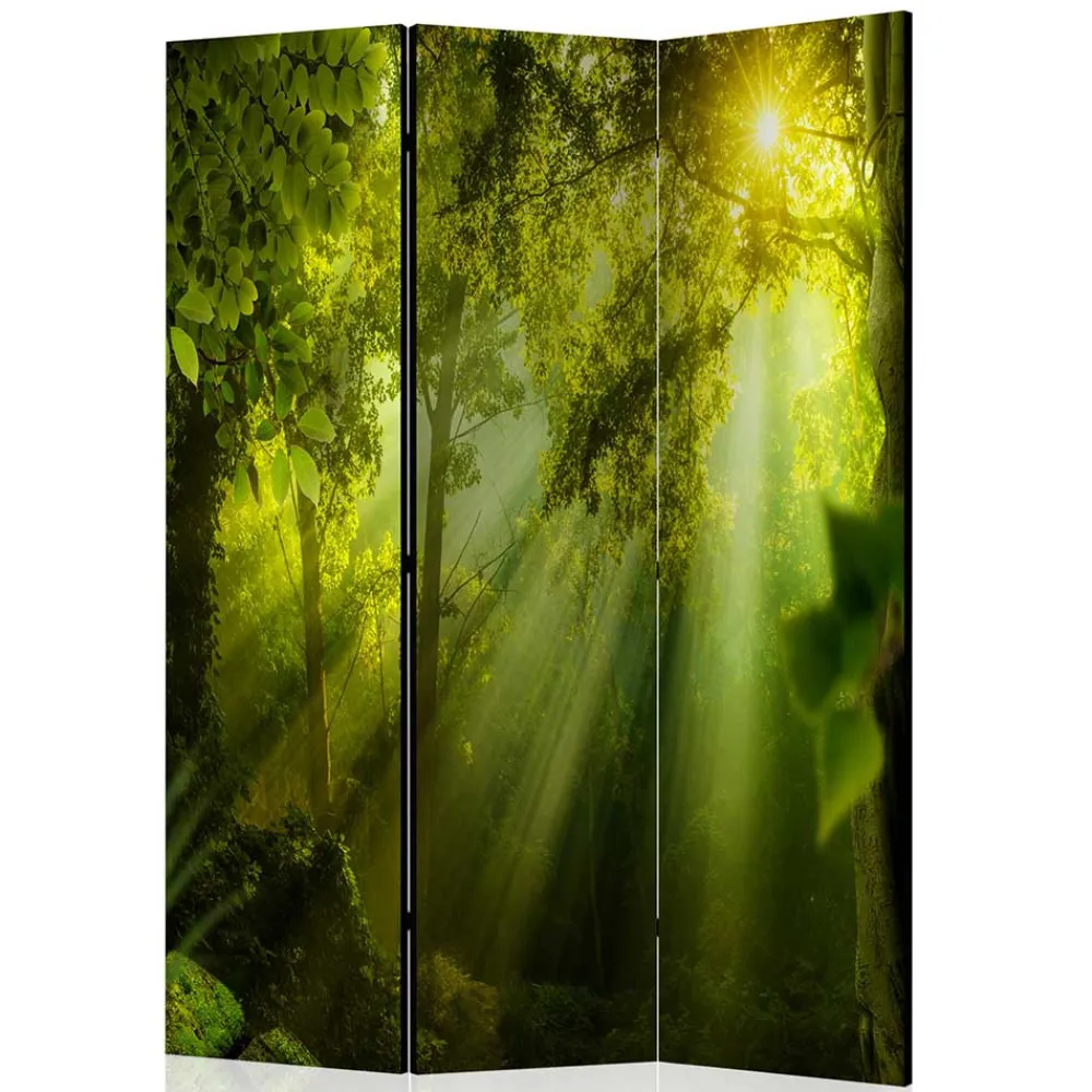 Paravent Waldmotiv Ramia*Pharao24 Hot