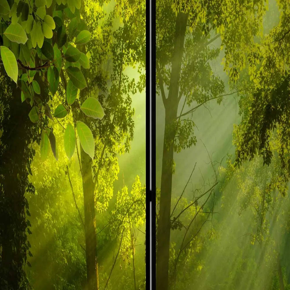 Paravent Waldmotiv Ramia*Pharao24 Hot