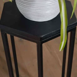 Pflanzenhocker Set Quinta*Pharao24 New