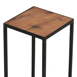 Pflanzensäule Labritano*Pharao24