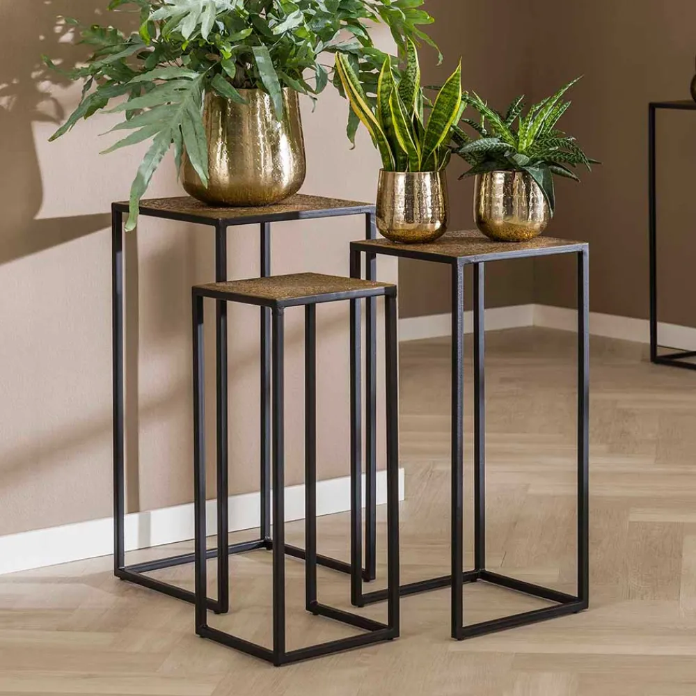 Pflanzensäulen Set Pingdong*Pharao24 Clearance