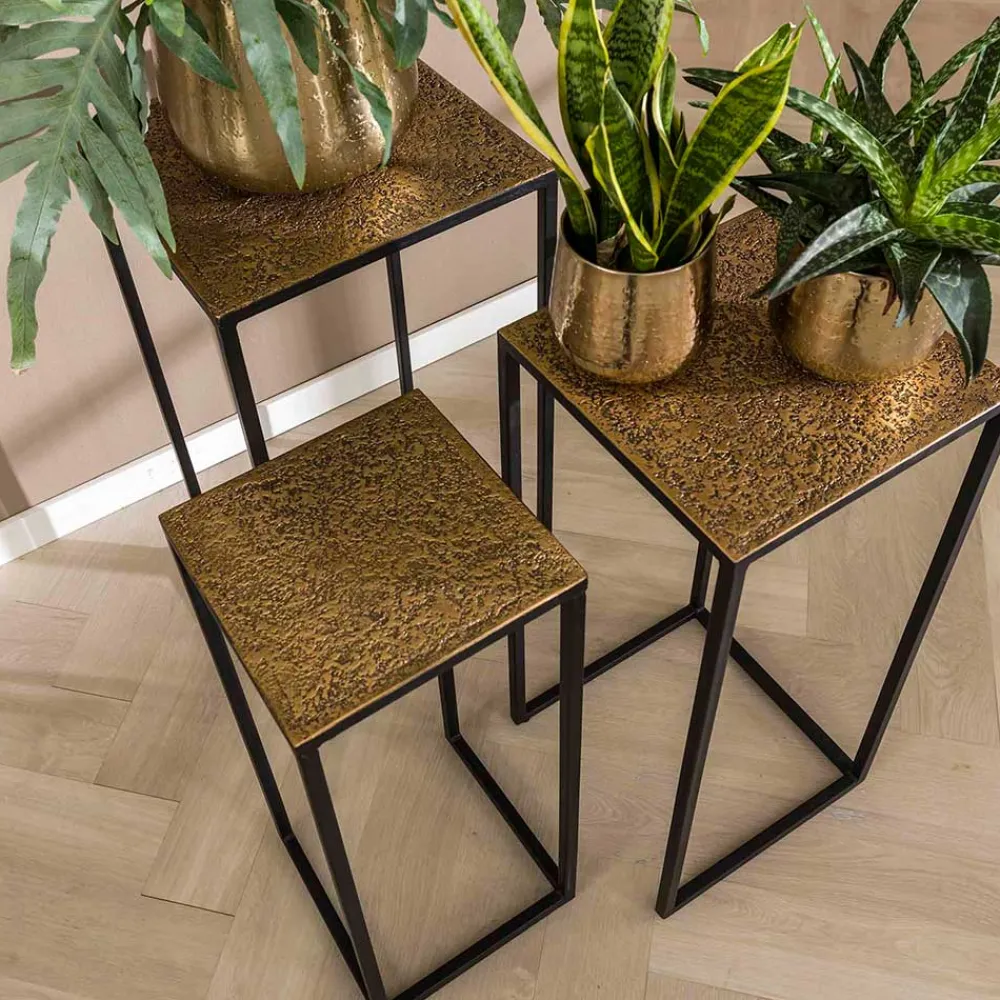 Pflanzensäulen Set Pingdong*Pharao24 Clearance