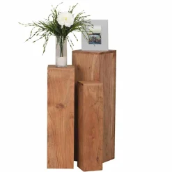 Pflanzensäulen Set Selvas*Pharao24 Online