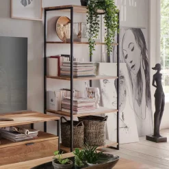 Best Regal Dairos Wohnzimmerregale|Massivholzregale