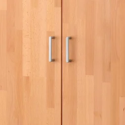 Schrank Büro Massivholz Len*Pharao24 Online