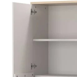 Schrank Büro Sanu*Pharao24 Clearance