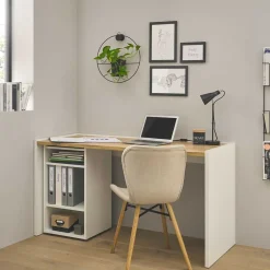 Schreibtisch mit Regalelement Rascian Schreibtische