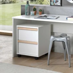 Schreibtisch Rollcontainer Handican Büroschränke|Aktenschränke