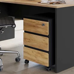 Schreibtischrollcontainer Charin*Pharao24 Online