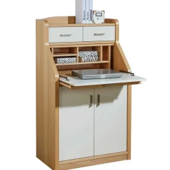 Sekretär Dobrota*Pharao24 Sale