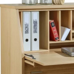 Outlet Sekretär Jucaras Sekretäre