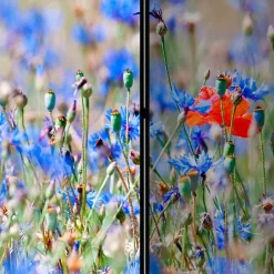 Online Sichtschutz Leaf Paravents|Raumteiler