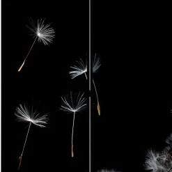 Outlet Sichtschutz Paravent Lutos Paravents|Raumteiler