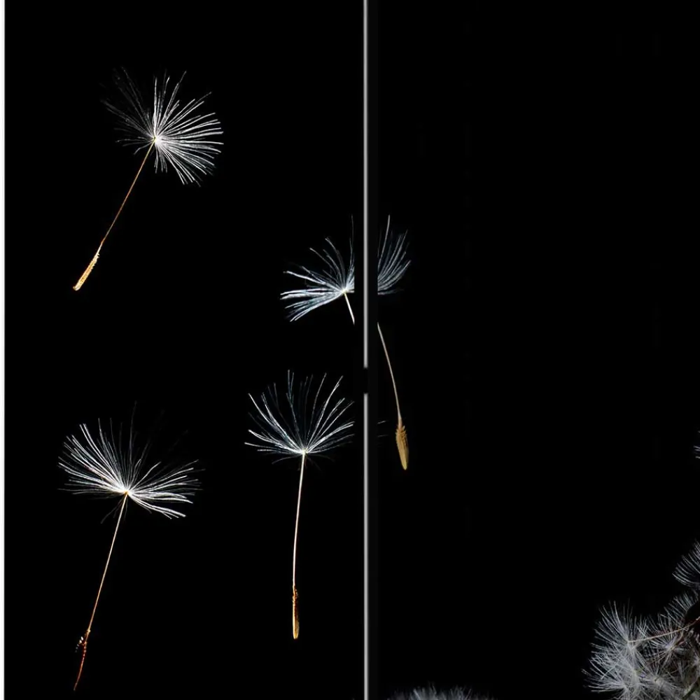 Outlet Sichtschutz Paravent Lutos Paravents|Raumteiler