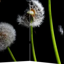 Outlet Sichtschutz Paravent Lutos Paravents|Raumteiler