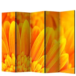 Sichtschutz Viraneos*Pharao24 Discount