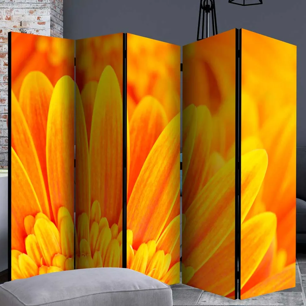 Sichtschutz Viraneos*Pharao24 Discount