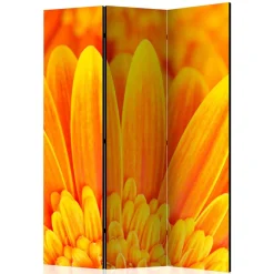 Sichtschutz Viraneos*Pharao24 Discount