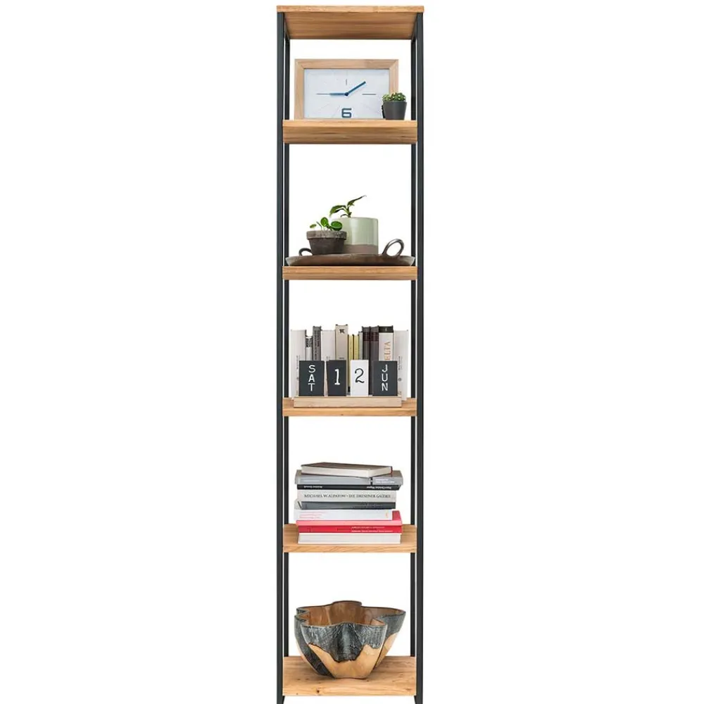 Standregal Dairos*Pharao24 Hot