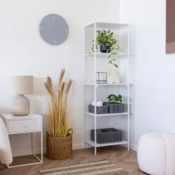 Online Standregal Montana Bücherregale