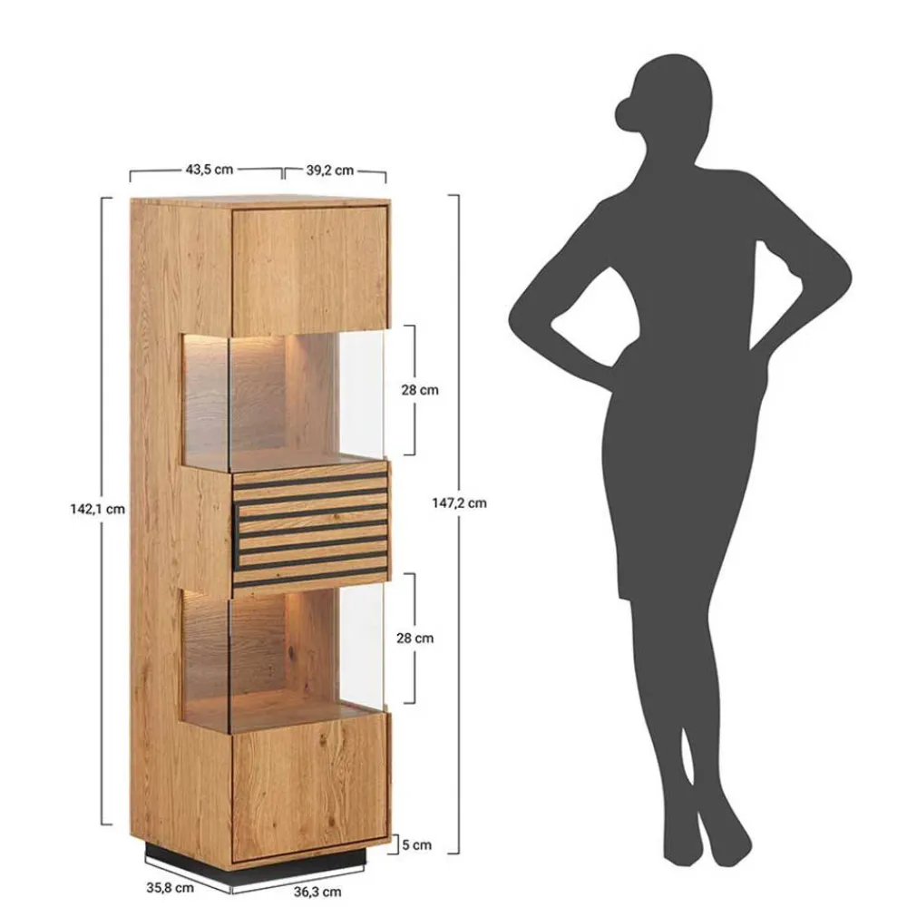 New Standvitrine Deruta Stauraumvitrinen