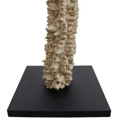 Stehlampe mit Treibholz Natalina*Pharao24 Online