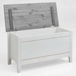 Truhe Benfitas*Pharao24