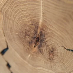 TV Board Lakosion*Pharao24 Online