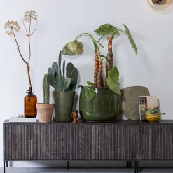 TV Lowboard Foliage*Pharao24 New