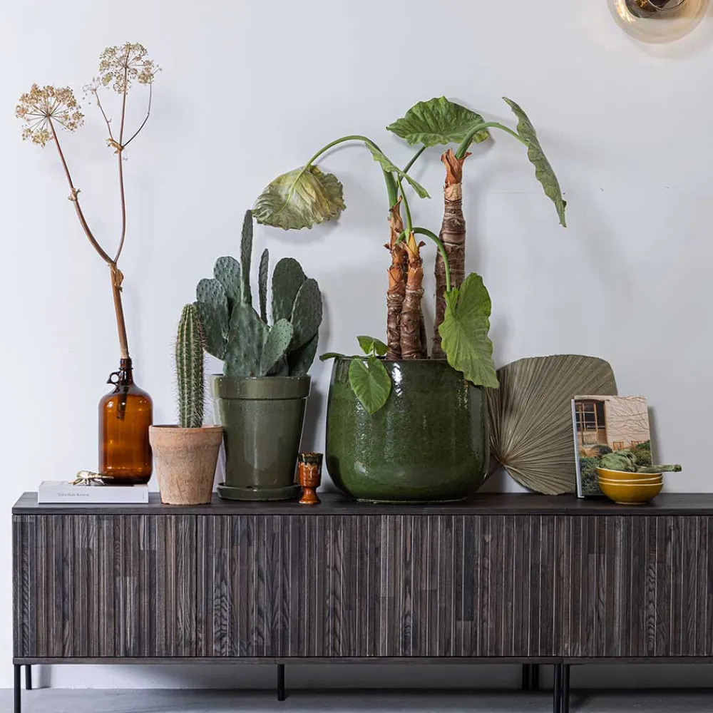 TV Lowboard Foliage*Pharao24 New