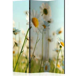 Best Umkleidewand Bergen Paravents