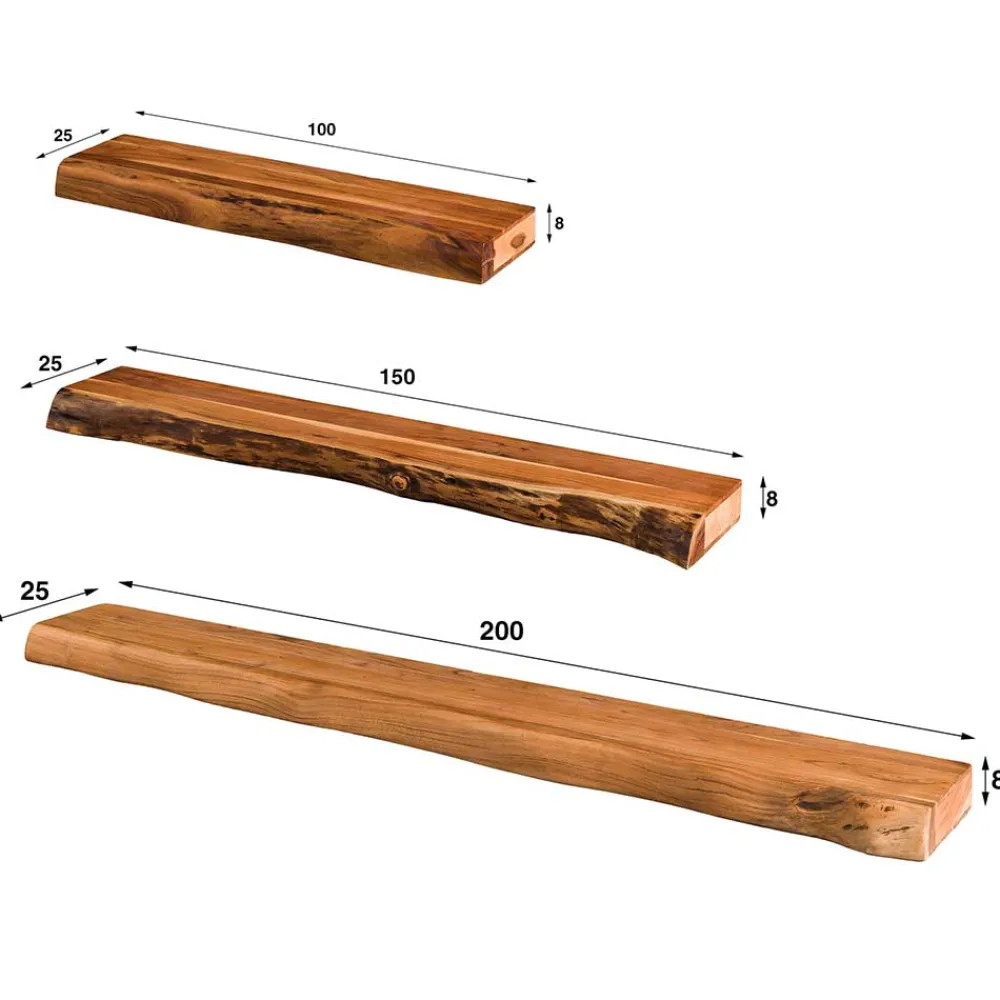 Wandboard Pletta*Pharao24 Hot