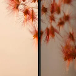 Wandschirm Catesko*Pharao24 Sale