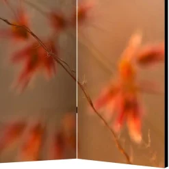 Wandschirm Catesko*Pharao24 Sale